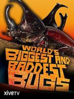 Watch World\'s Biggest and Baddest Bugs 123movieshub