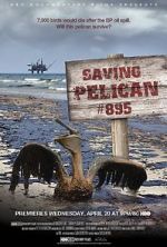 Watch Saving Pelican 895 (Short 2011) 123movieshub