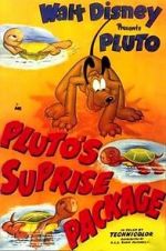 Watch Pluto\'s Surprise Package 123movieshub