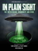 Watch In Plain Sight: The Intelligence Community and UFOs 123movieshub