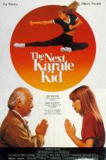 Watch The Next Karate Kid 123movieshub