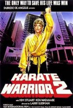 Watch Karate Warrior 2 123movieshub