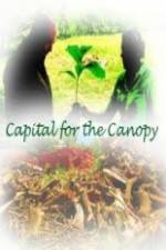 Watch Capital for the Canopy 123movieshub