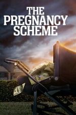 Watch The Pregnancy Scheme 123movieshub