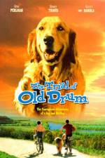 Watch The Trial of Old Drum 123movieshub