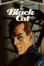Watch The Black Cat 123movieshub