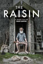 Watch The Raisin (Short 2017) 123movieshub