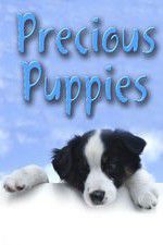 Watch Precious Puppies 123movieshub