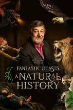 Watch Fantastic Beasts: A Natural History 123movieshub