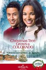 Watch A Christmas Tree Grows in Colorado 123movieshub