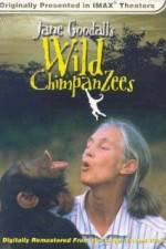 Watch Jane Goodall's Wild Chimpanzees 123movieshub
