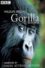 Watch Gorilla Revisited with David Attenborough 123movieshub