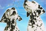 Watch 101 Dalmatians Sing Along 123movieshub
