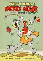 Watch Donald\'s Ostrich (Short 1937) 123movieshub