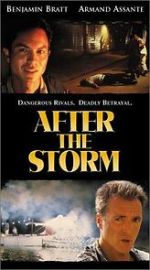 Watch After the Storm 123movieshub