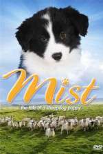 Watch Mist: The Tale of a Sheepdog Puppy 123movieshub