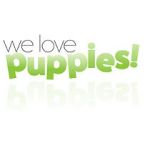 Watch We Love Puppies 123movieshub