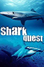 Watch Shark Quest 123movieshub