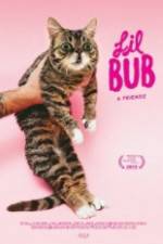 Watch Lil Bub & Friendz 123movieshub