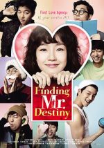 Watch Finding Mr. Destiny 123movieshub