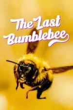 Watch The Last Bumblebee 123movieshub