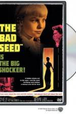 Watch The Bad Seed 123movieshub