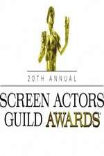 Watch The 20th Annual Screen Actors Guild Awards 123movieshub