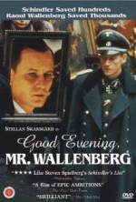 Watch Good Evening, Mr. Wallenberg 123movieshub