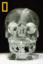 Watch National Geographic The Truth Behind The Crystal Skulls 123movieshub