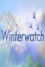 Watch Winterwatch 123movieshub