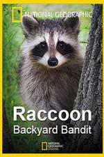 Watch Raccoon: Backyard Bandit 123movieshub