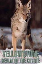 Watch Yellowstone: Realm of the Coyote 123movieshub