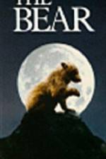 Watch The Bear - (L'ours) 123movieshub