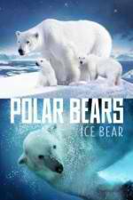 Watch Polar Bears Ice Bear 123movieshub