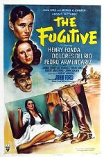 Watch The Fugitive 123movieshub