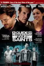 Watch A Guide to Recognizing Your Saints 123movieshub