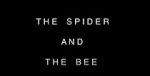 Watch The Spider and the Bee 123movieshub