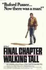Watch Final Chapter Walking Tall 123movieshub