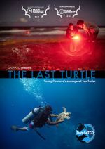 Watch The Last Turtle (Short 2019) 123movieshub