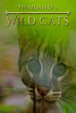 Watch Thailand's Wild Cats 123movieshub