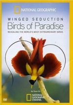 Watch Winged Seduction: Birds of Paradise 123movieshub