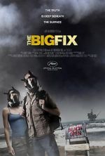 Watch The Big Fix 123movieshub