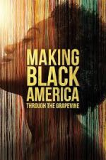 Watch Making Black America: Through the Grapevine 123movieshub