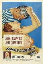 Watch Female on the Beach 123movieshub