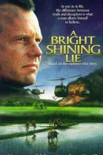 Watch A Bright Shining Lie 123movieshub