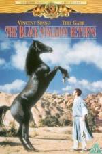 Watch The Black Stallion Returns 123movieshub