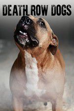 Watch Death Row Dogs 123movieshub