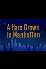 Watch A Hare Grows in Manhattan 123movieshub
