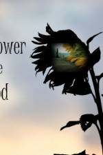 Watch The Sunflower and the Sun God 123movieshub