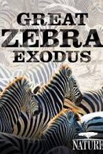 Watch Nature: Great Zebra Exodus 123movieshub